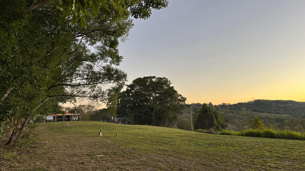 Wallaby Ridge