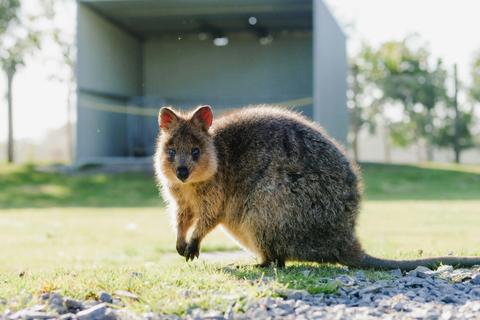 Oakvale Wildlife Park