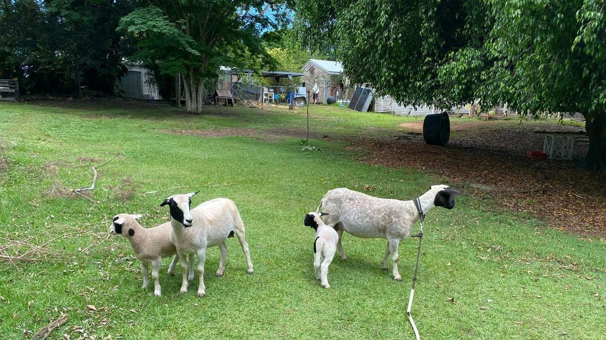 Vander Farm