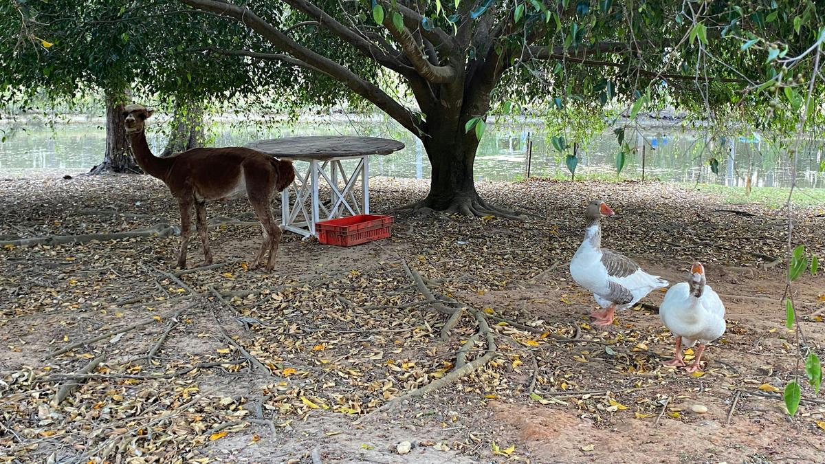 Vander Farm