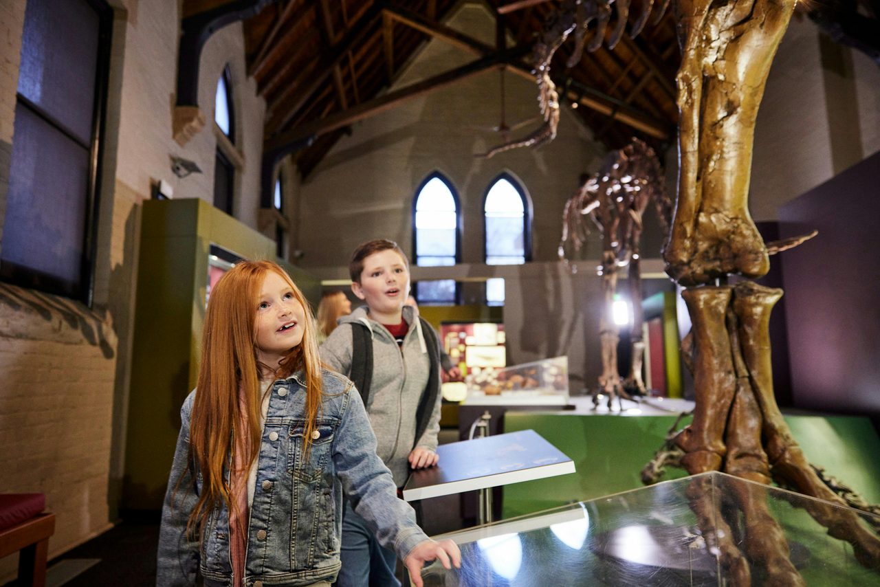 Australian Fossil and Mineral Museum, Bathurst