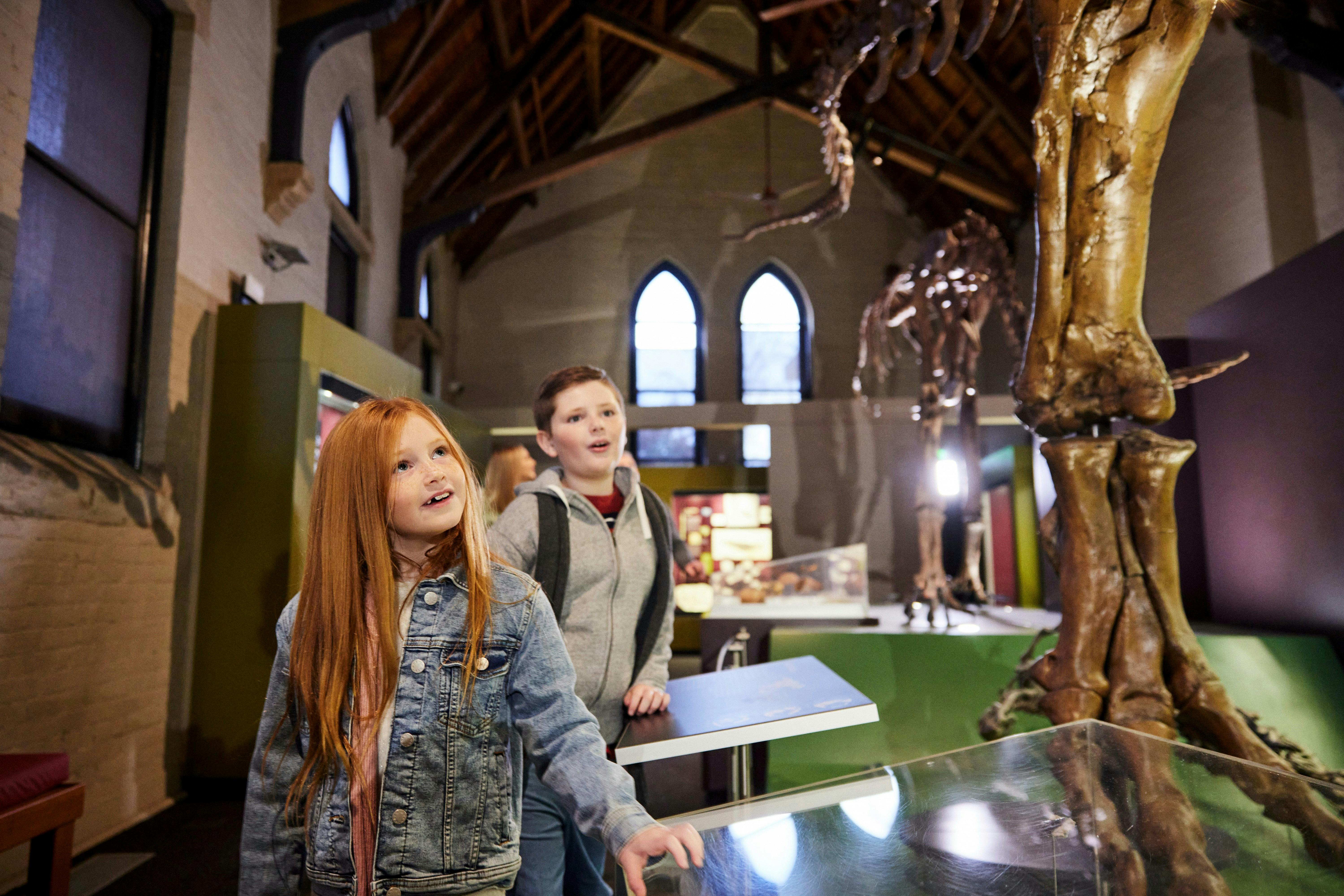 Australian Fossil and Mineral Museum, Bathurst
