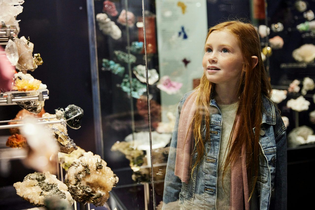 Australian Fossil and Mineral Museum, Bathurst