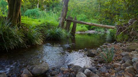 Wongawallan Creek Estate