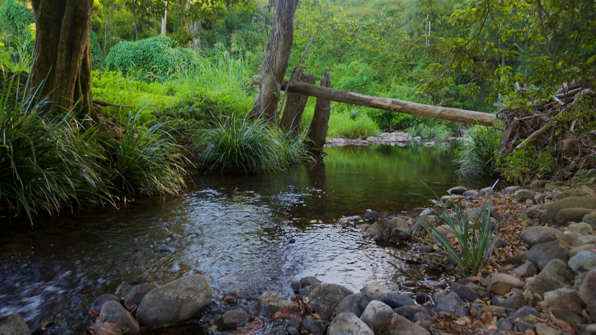 Wongawallan Creek Estate