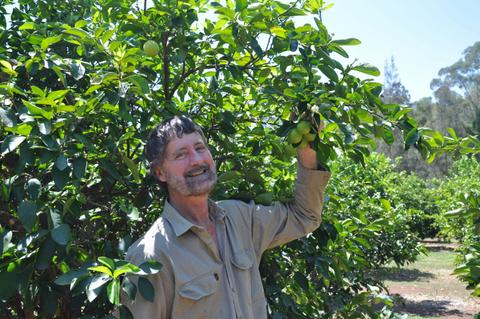 Watercress Creek Olives and Limes