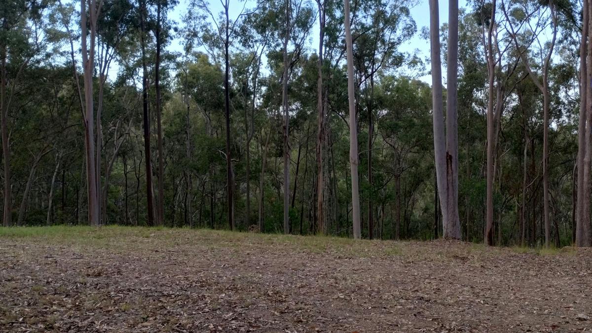 UniqueVibe Bush Camp