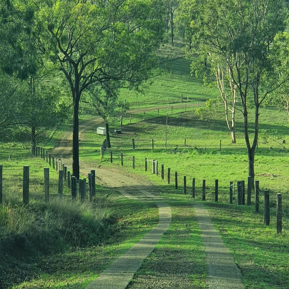 Driveway
