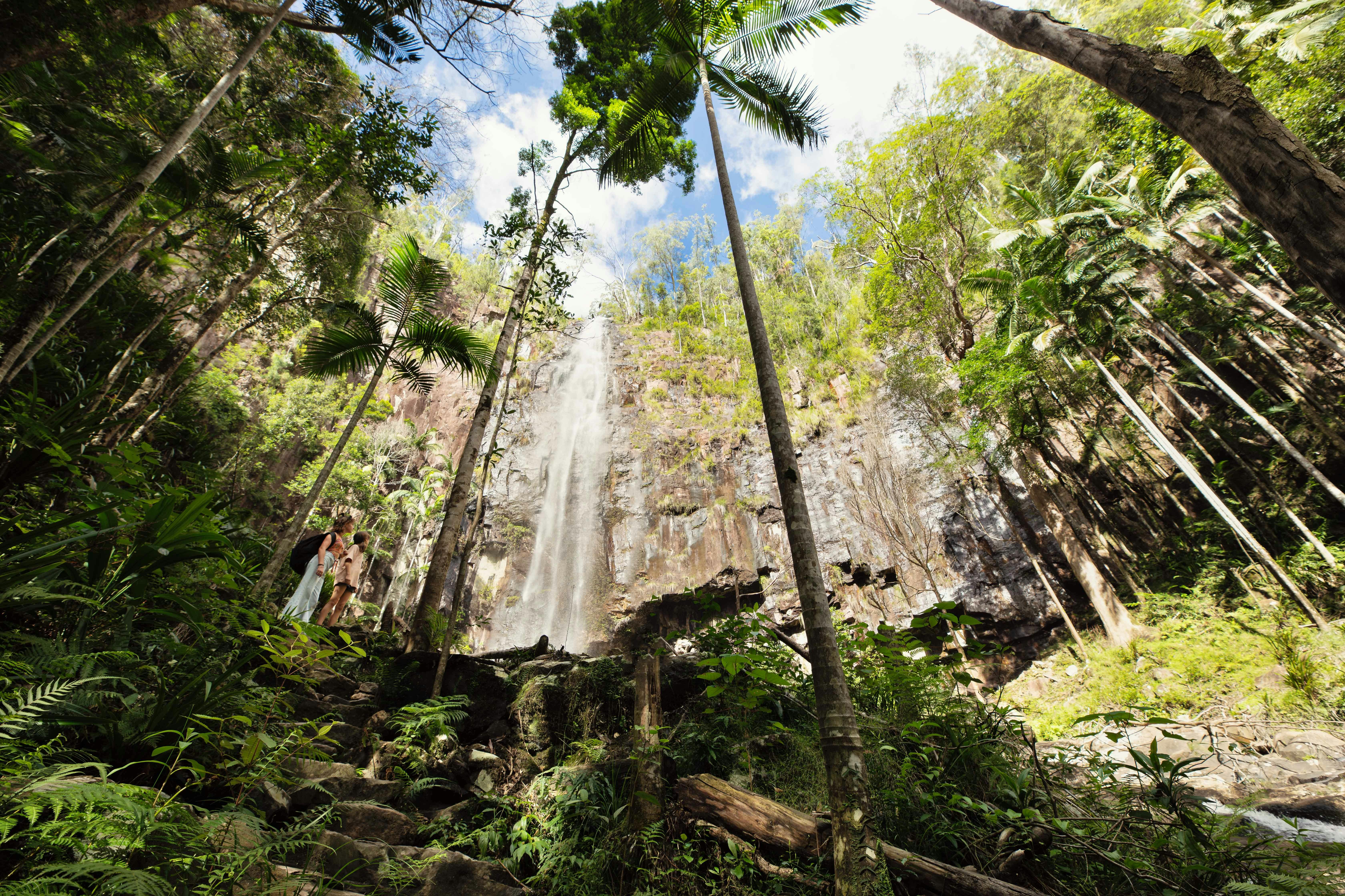 Young teens admiring the stunning Protesters Falls
