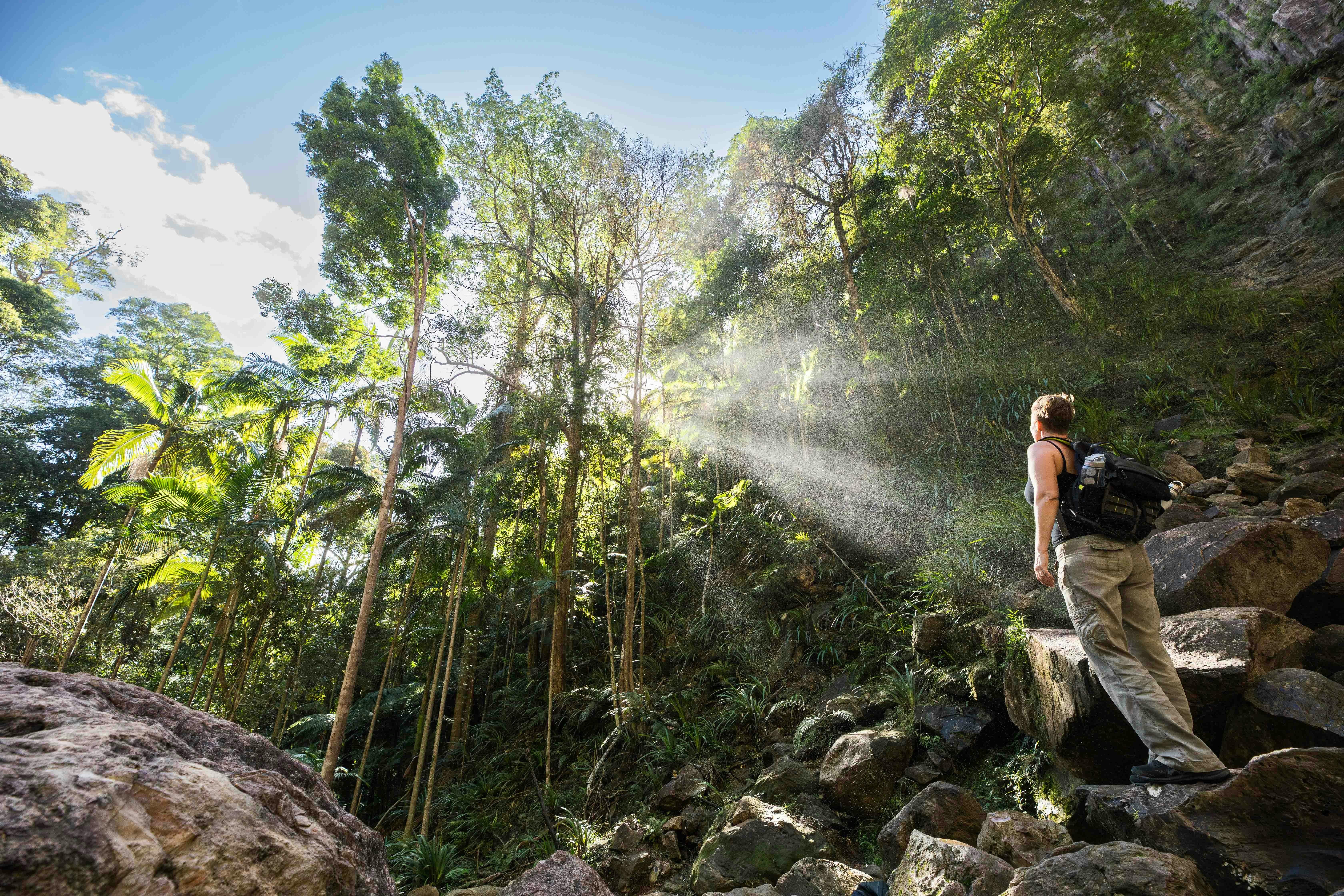 Hiker admiring the stunning hike to the falls