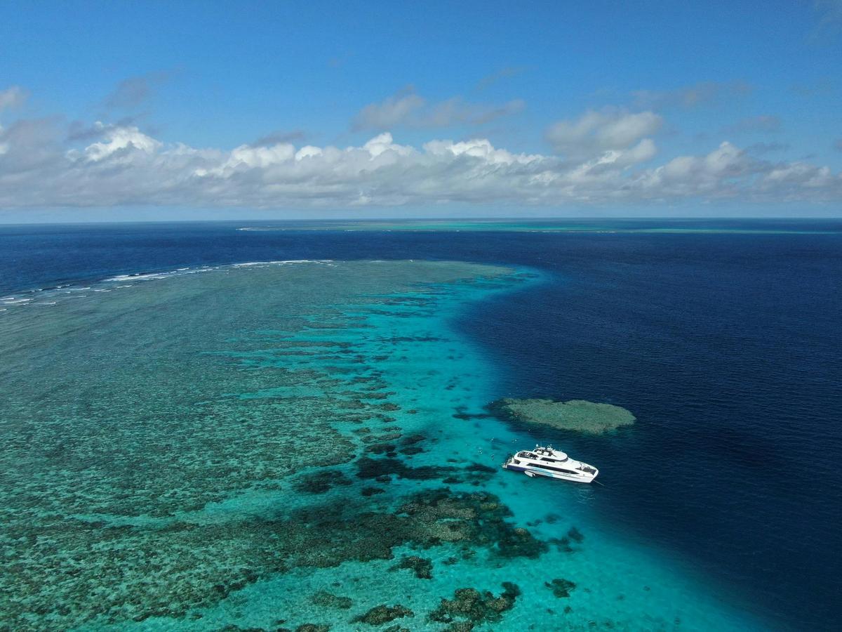 Great Barrier Reef Tours