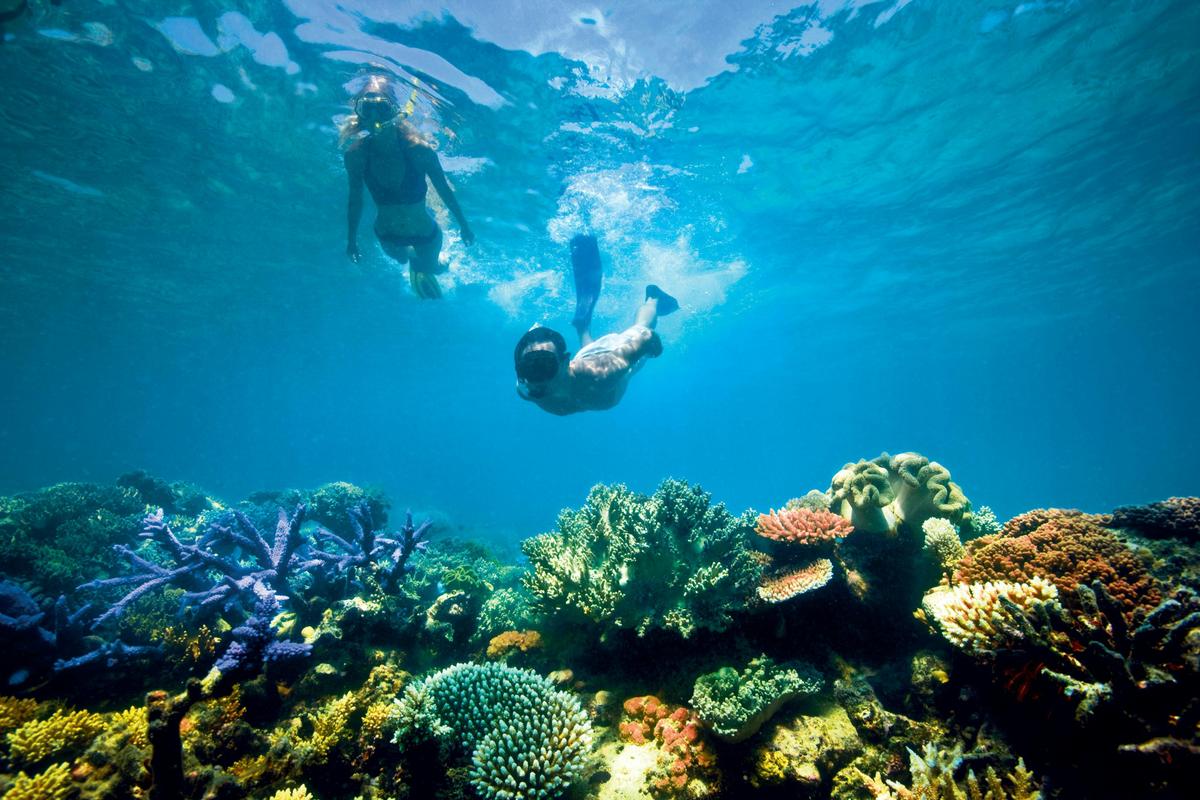 Snorkelling on the Great Barrier Reef, Lizard Island