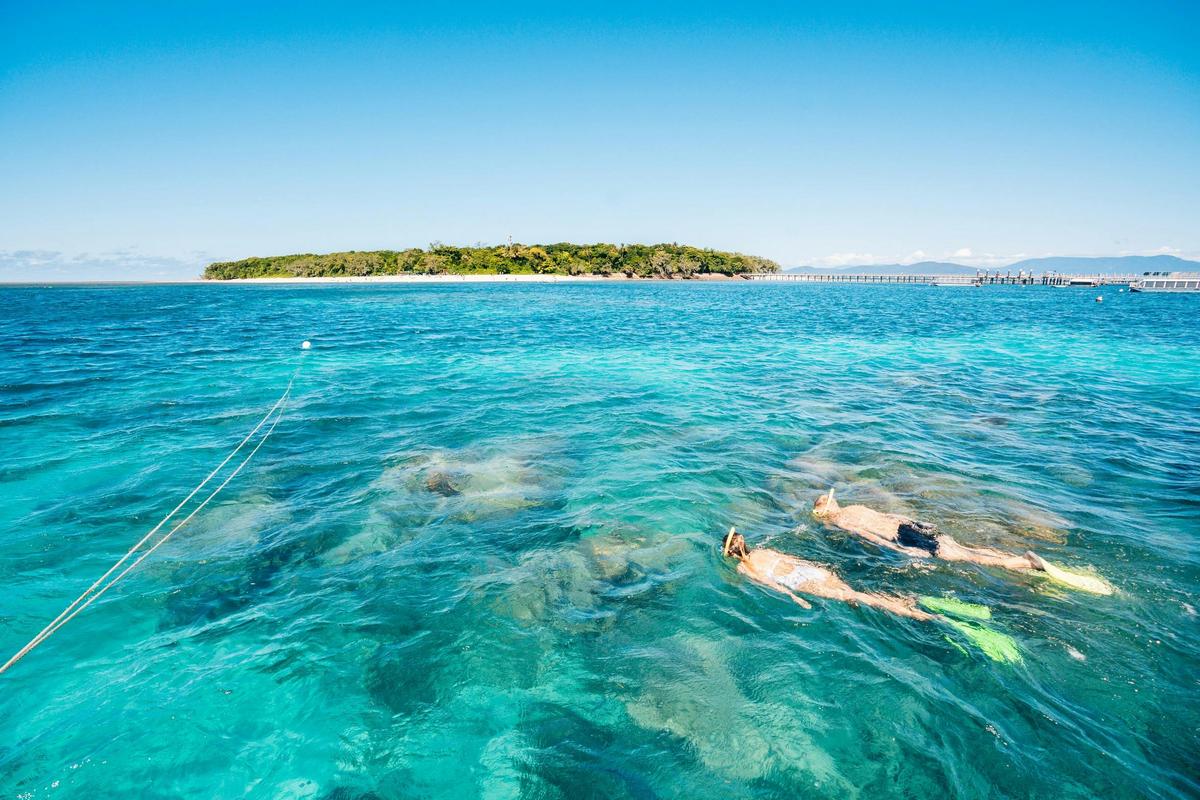 Great Barrier Reef Tours