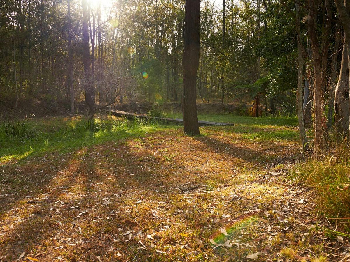 Walter Zimmerman Park