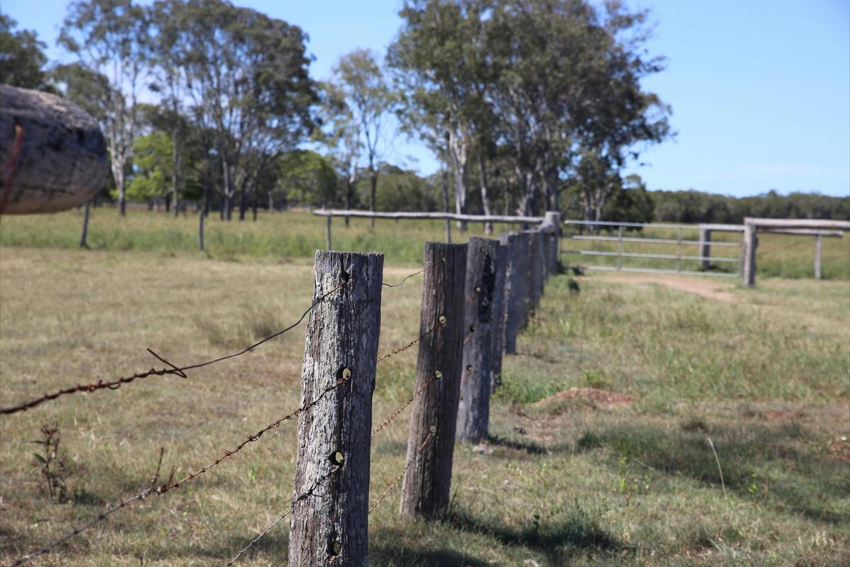 Howard, Fraser Coast Hinterland, Queensland.