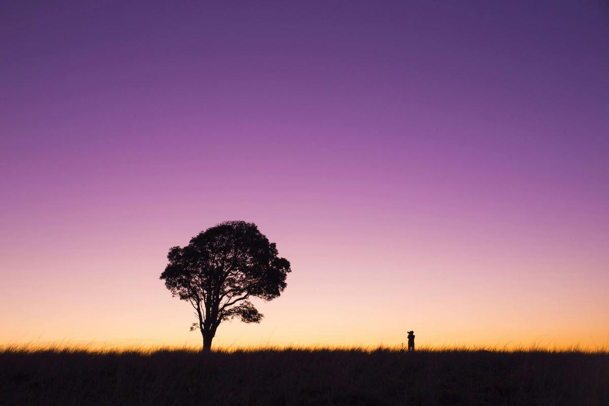 Fraser Coast Hinterland