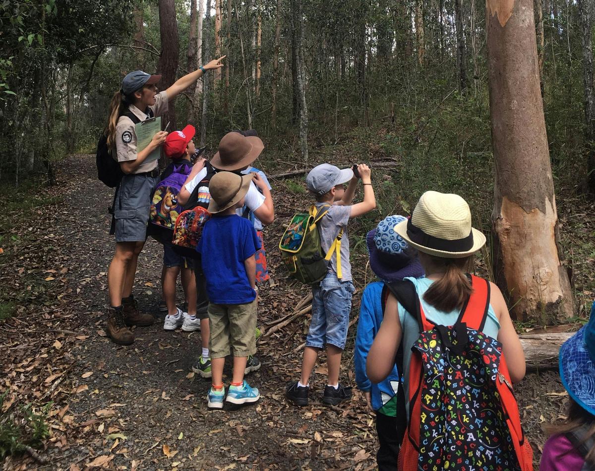 Uncover the secrets of the bush on a Junior Ranger activity.