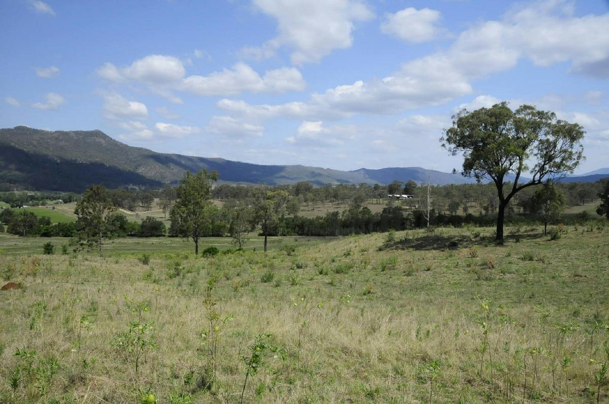 Thornton QLD