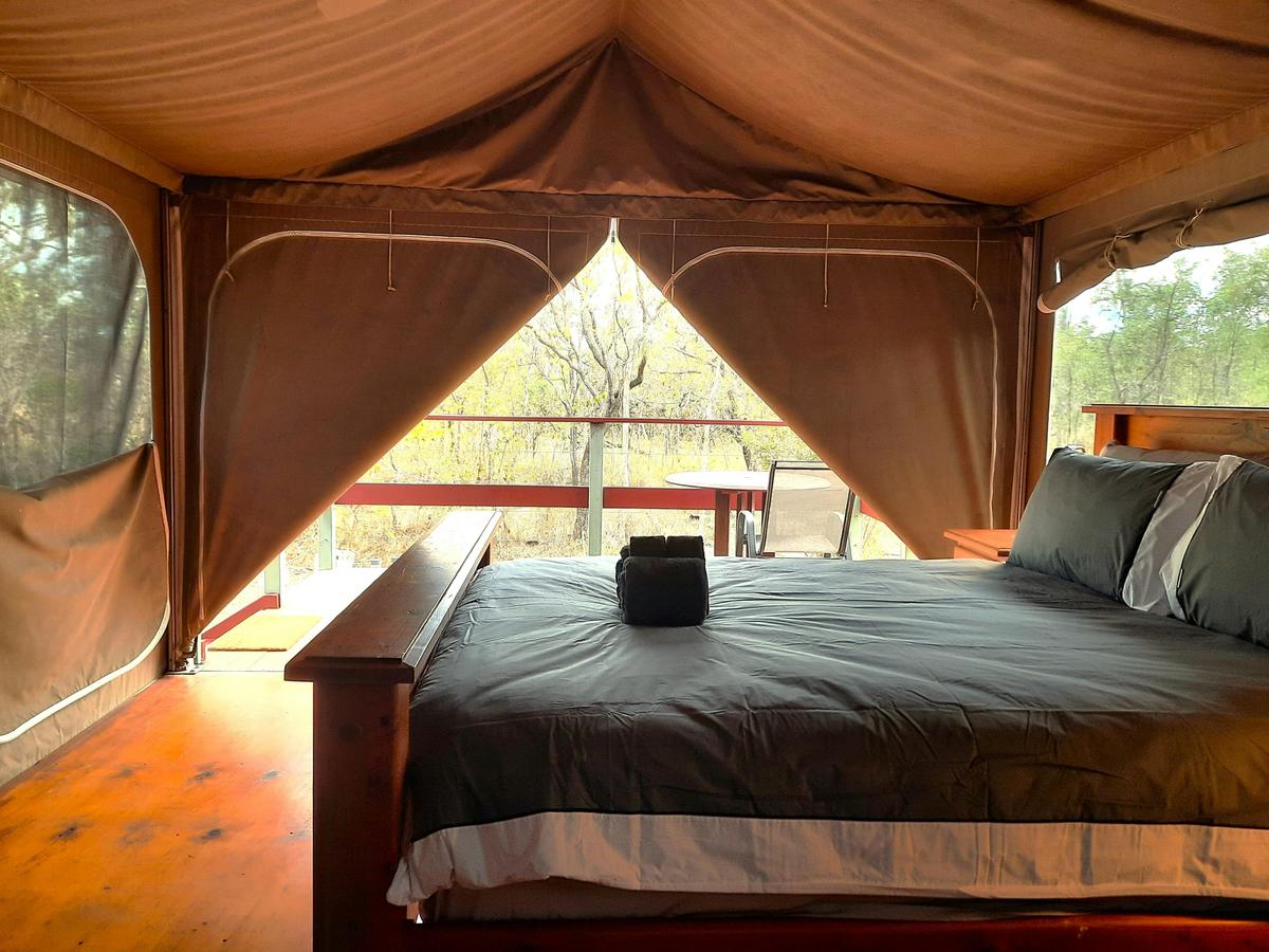 inside safari style bush tent