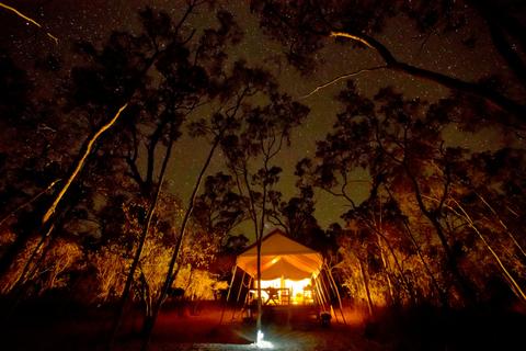 Wild Nature Lodge