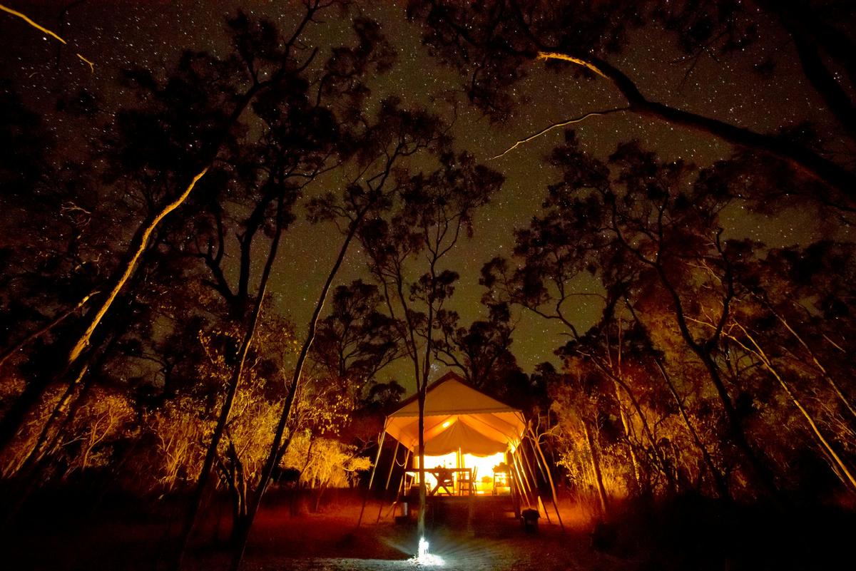 Boutique safari-style tent at night