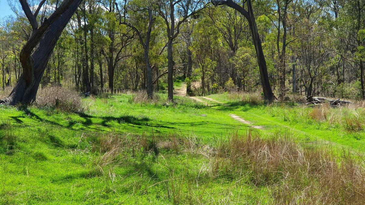 Wild Peach Creek