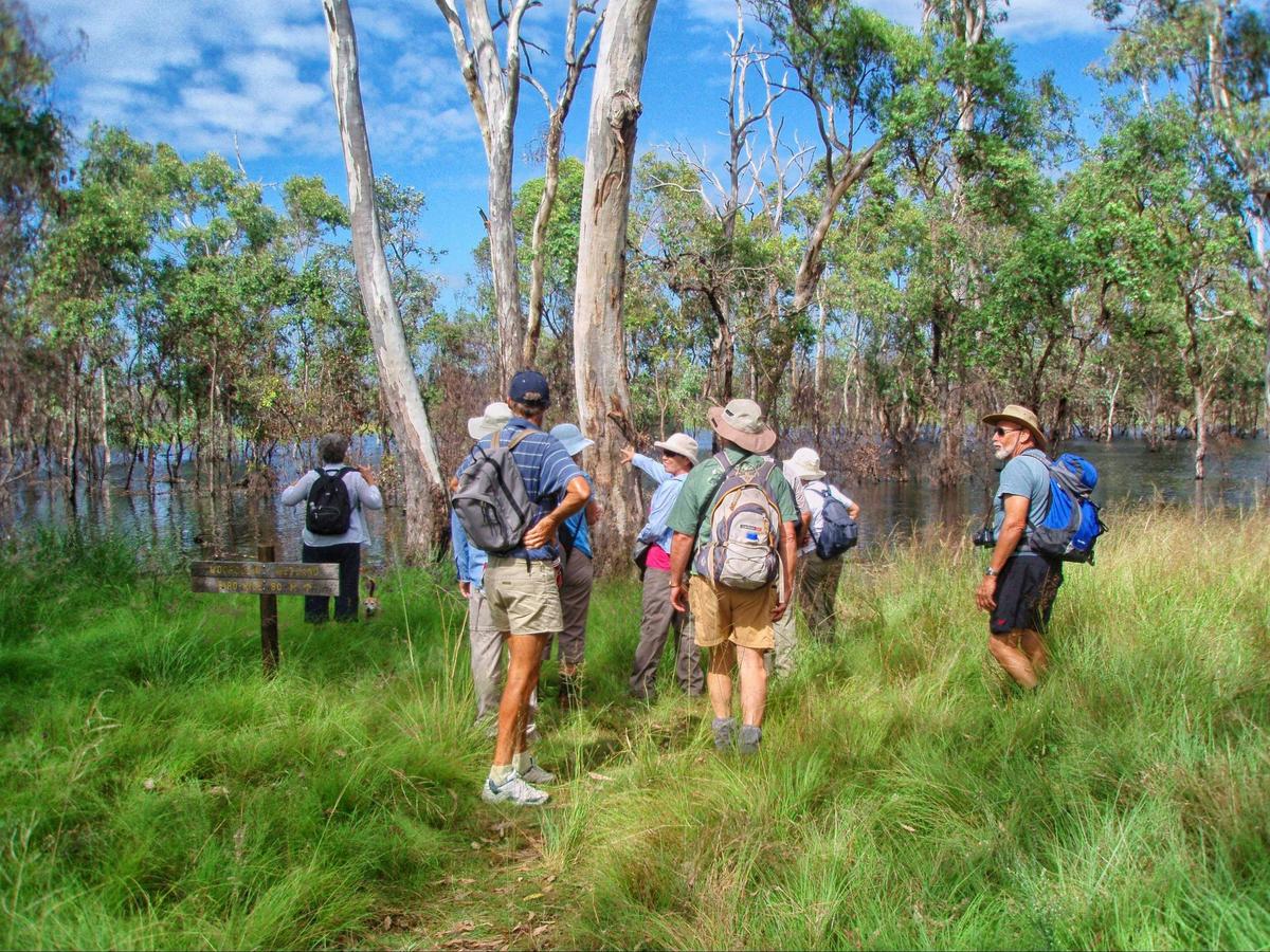Bird Watching at Wooroolin Wetland