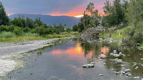 Warrill Creek Camping