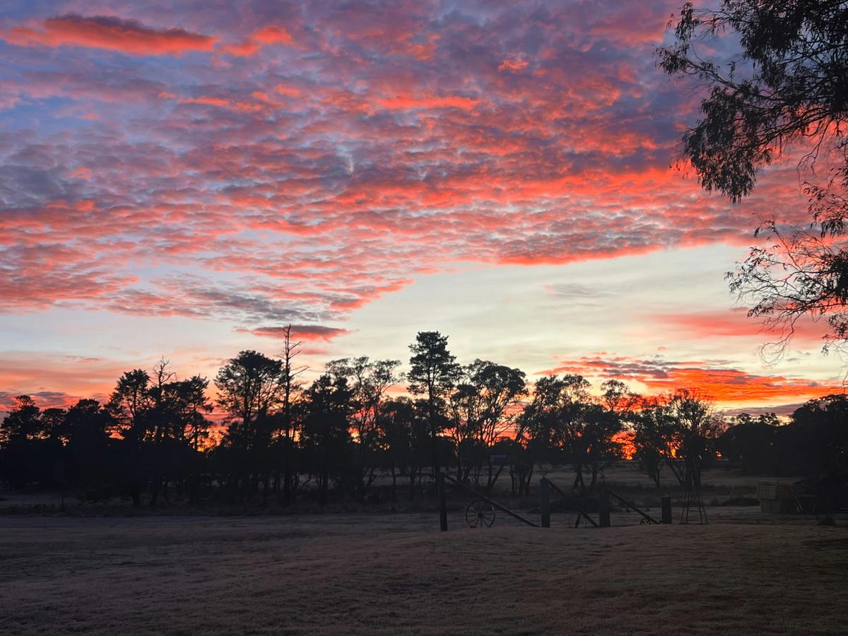 Granite Belt beauty