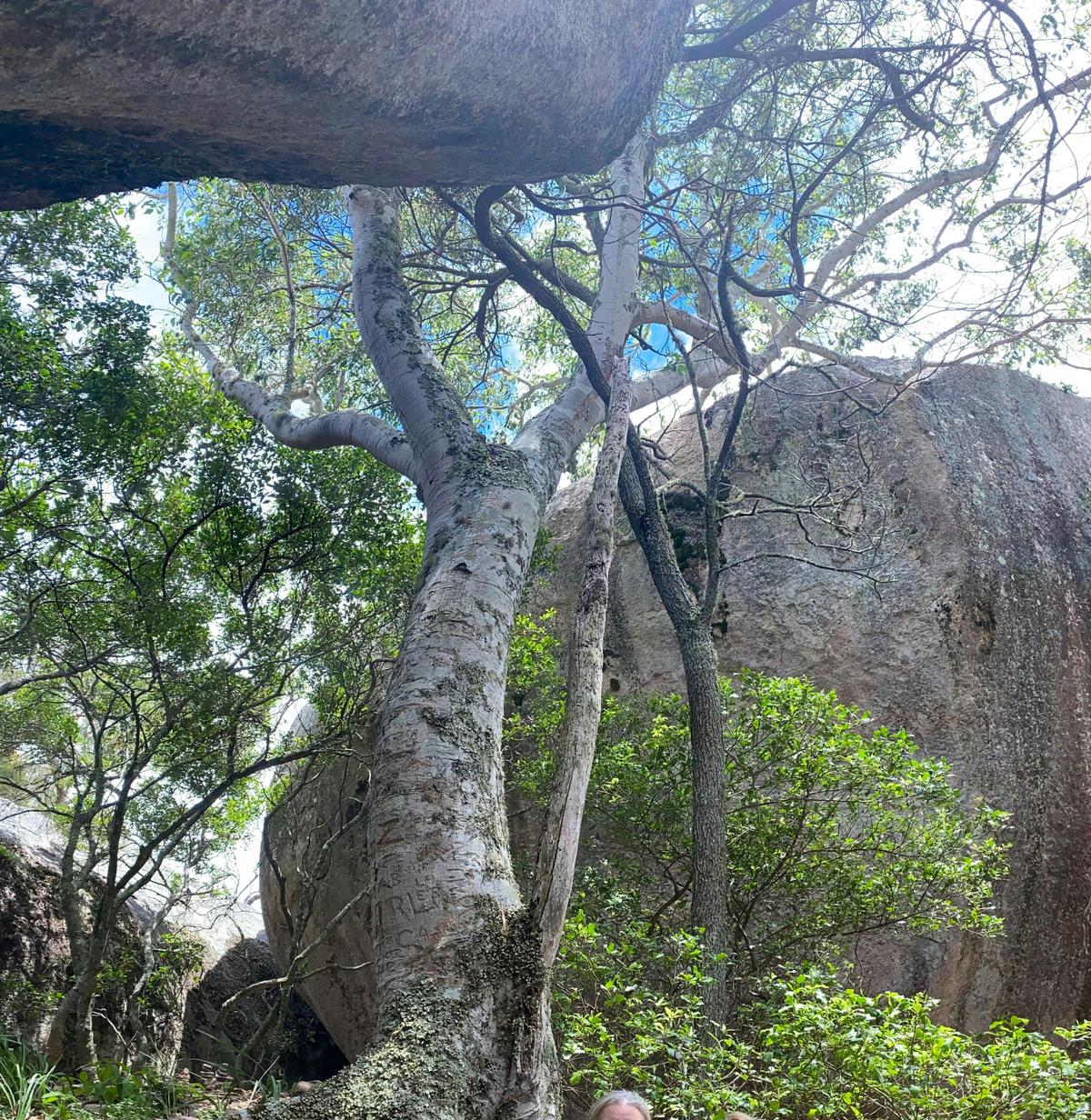 Wild places