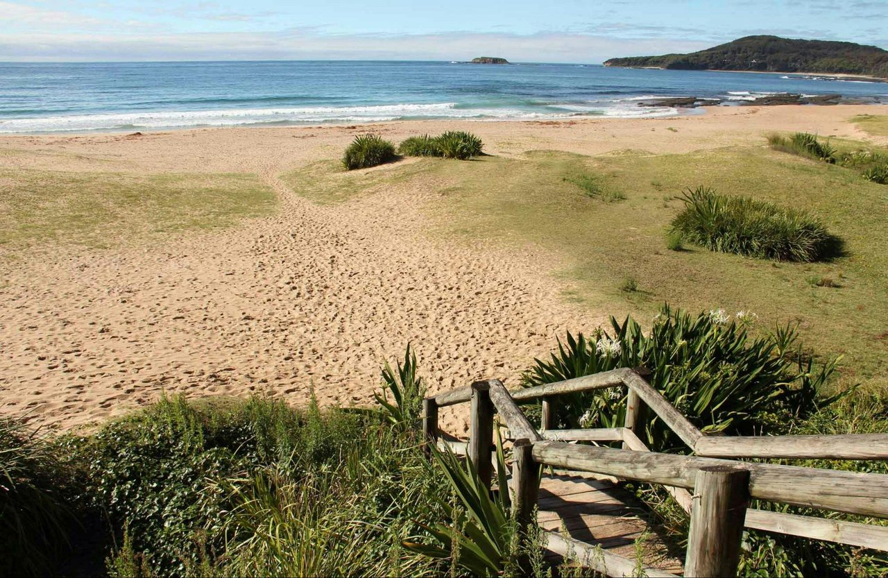 Pretty Beach to Pebbly Beach Walking Track. Photo: John Yurasek/NSW Government.