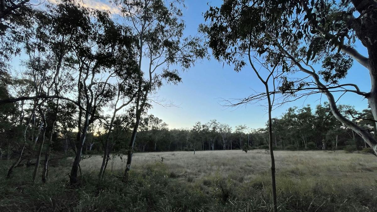 Wes's Camping Ground