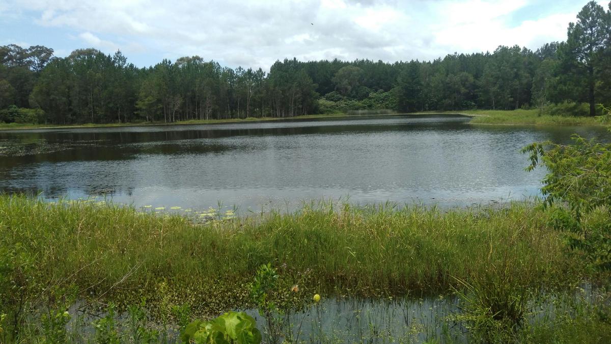 Wild Horse Retreat