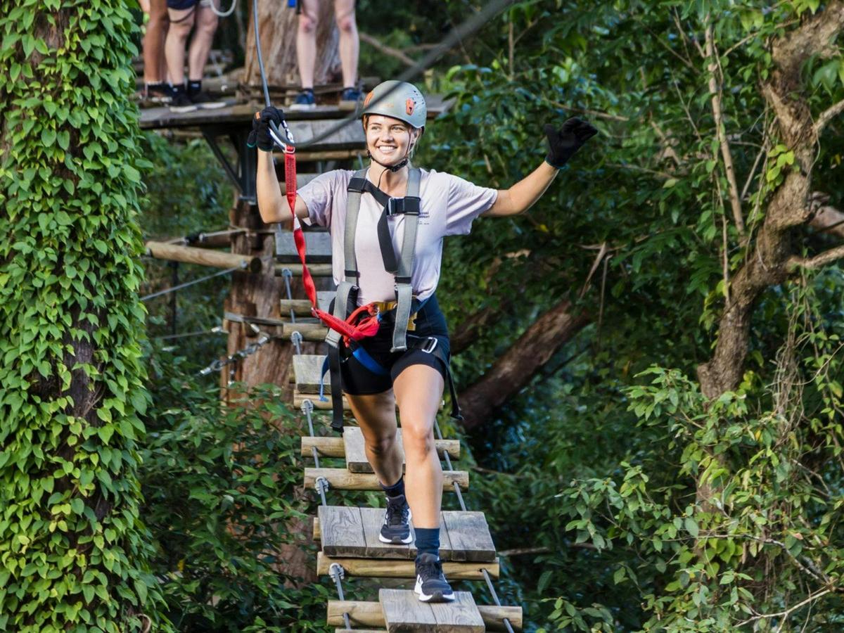 Obstacles in the trees