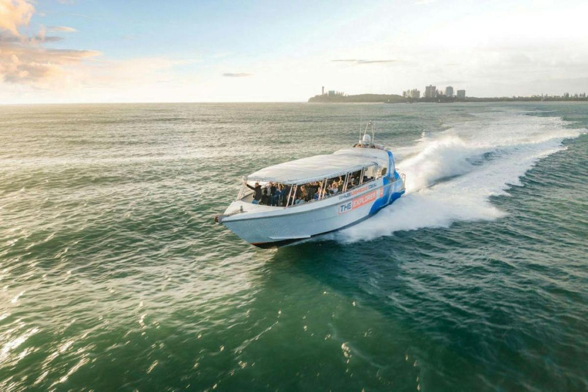 The Whale Explorer heading out on a whale watching experience