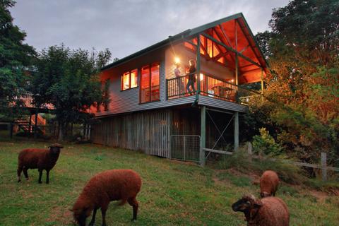 The Treehouse