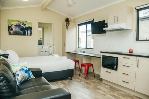 Deluxe Plus Cabin