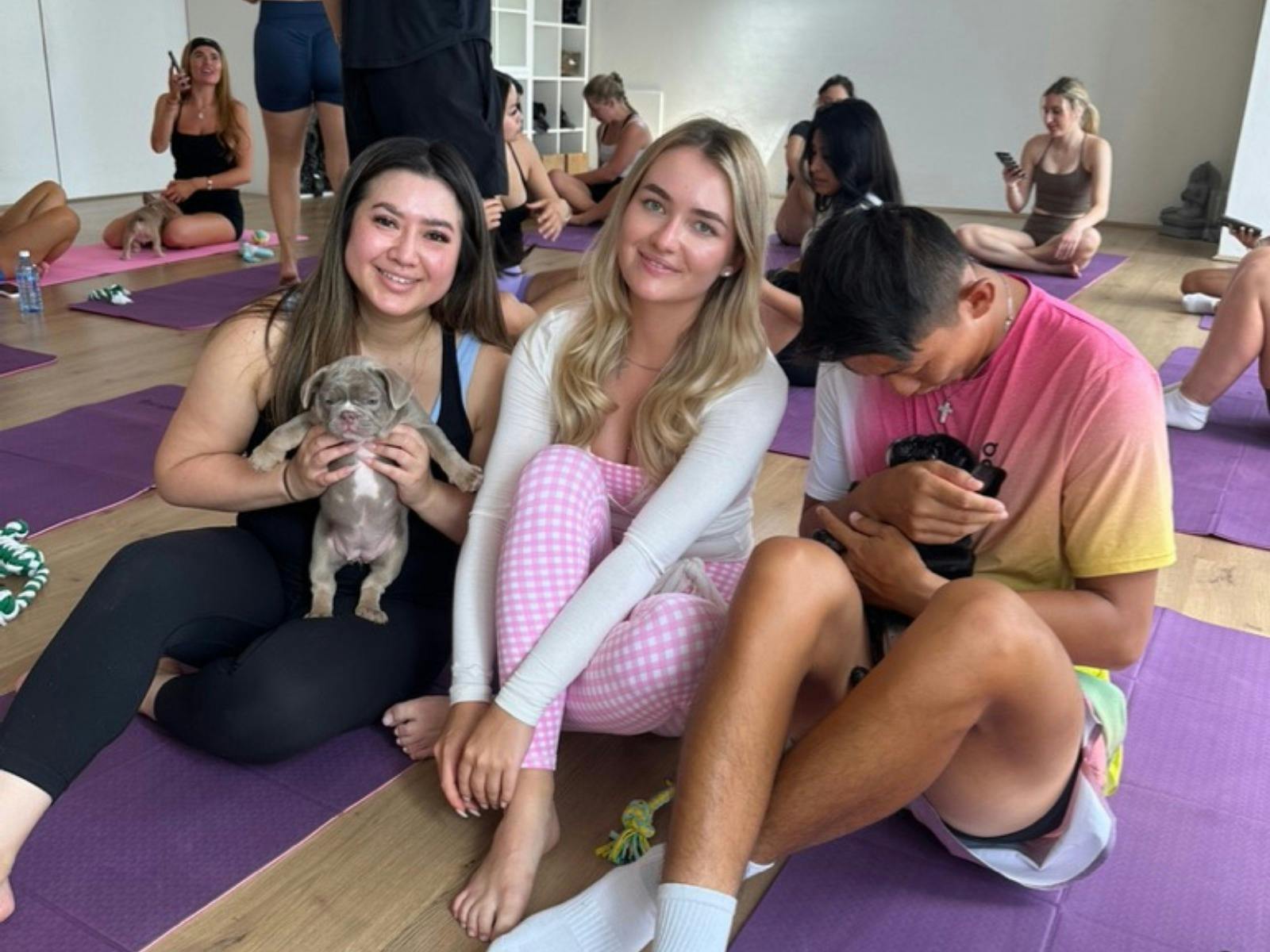 Puppy Yoga Sydney!