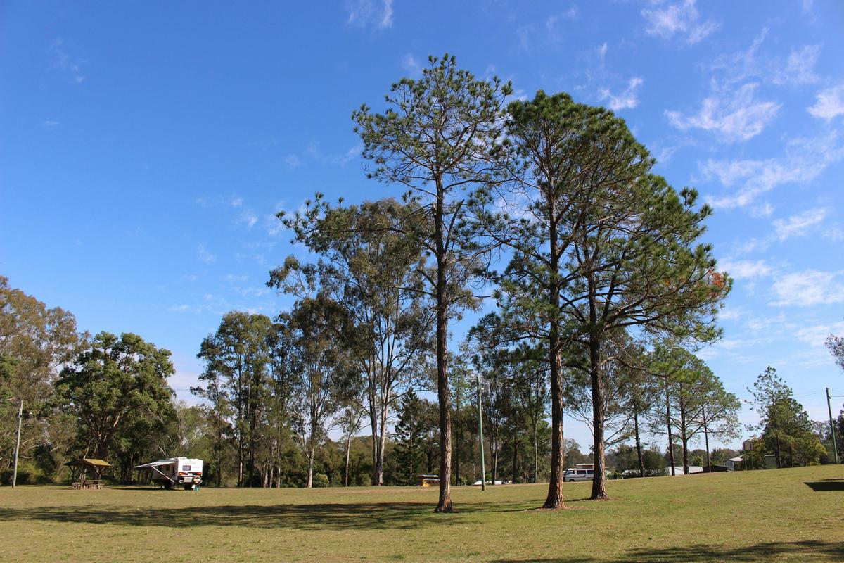 Tully Memorial Park