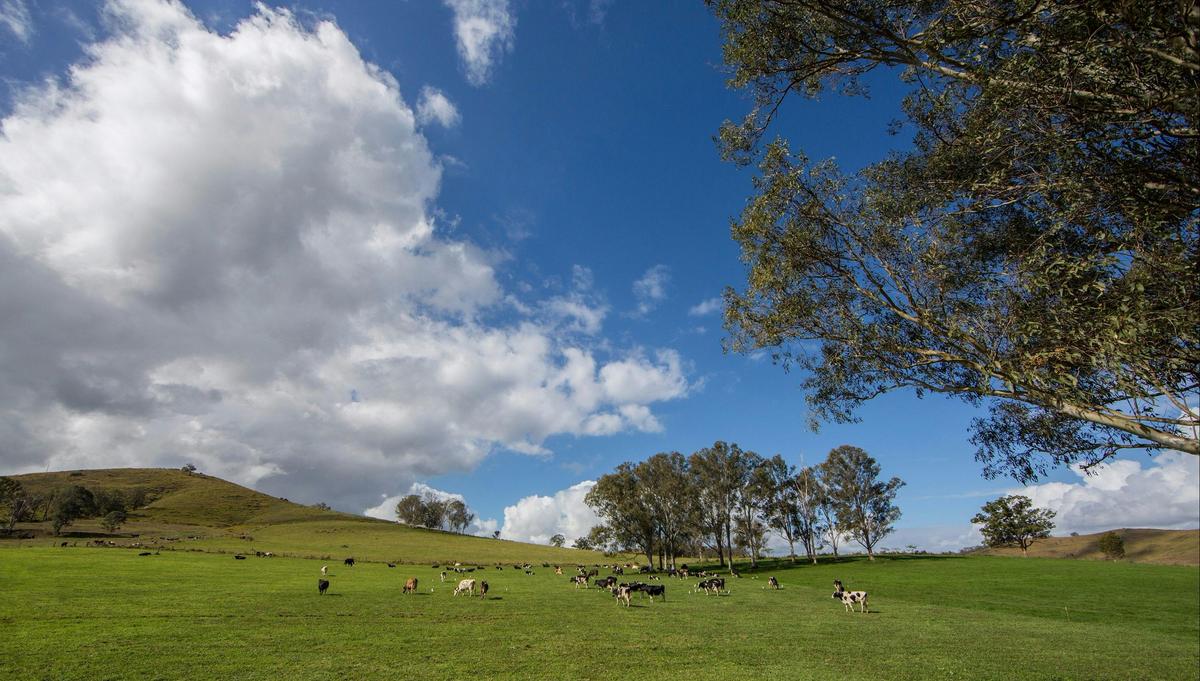 Country side around Woodford Moreton Bay Region