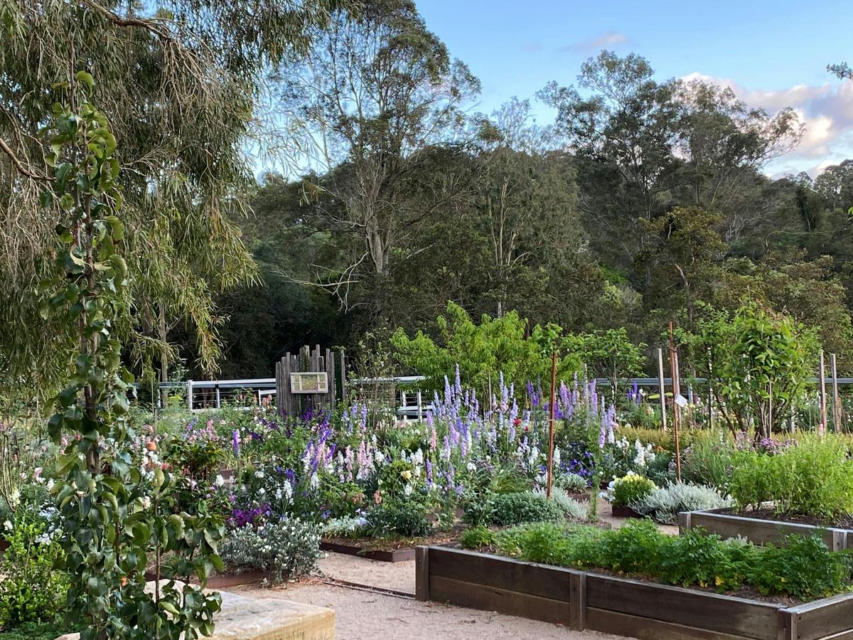 Market Gardens