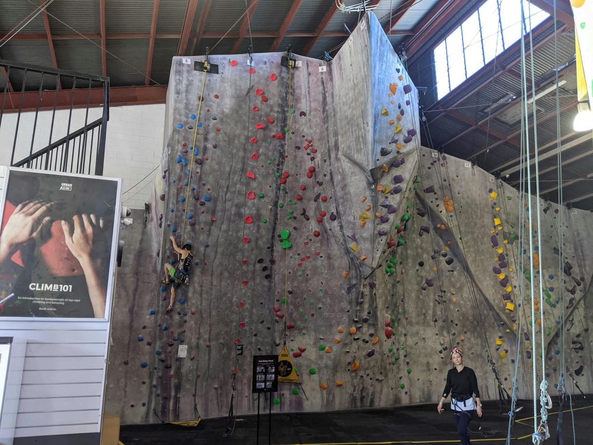 Top rope and auto belays