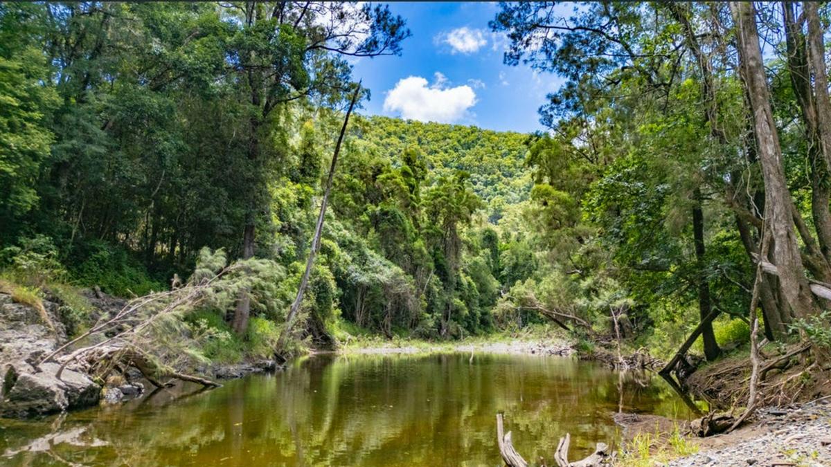 Windyridge Creekside Camp