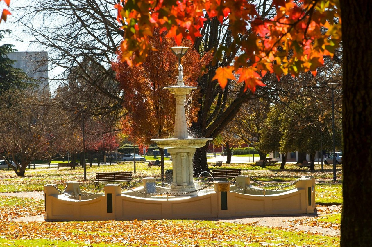 Robertson Park Orange NSW