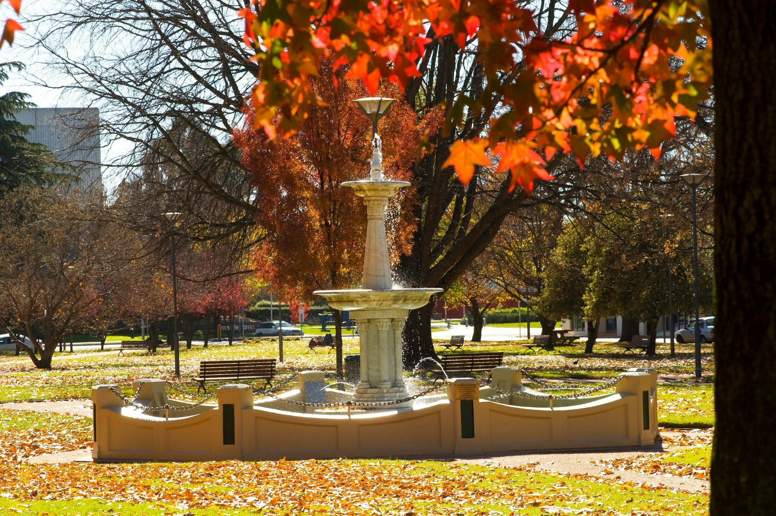 Robertson Park Orange NSW