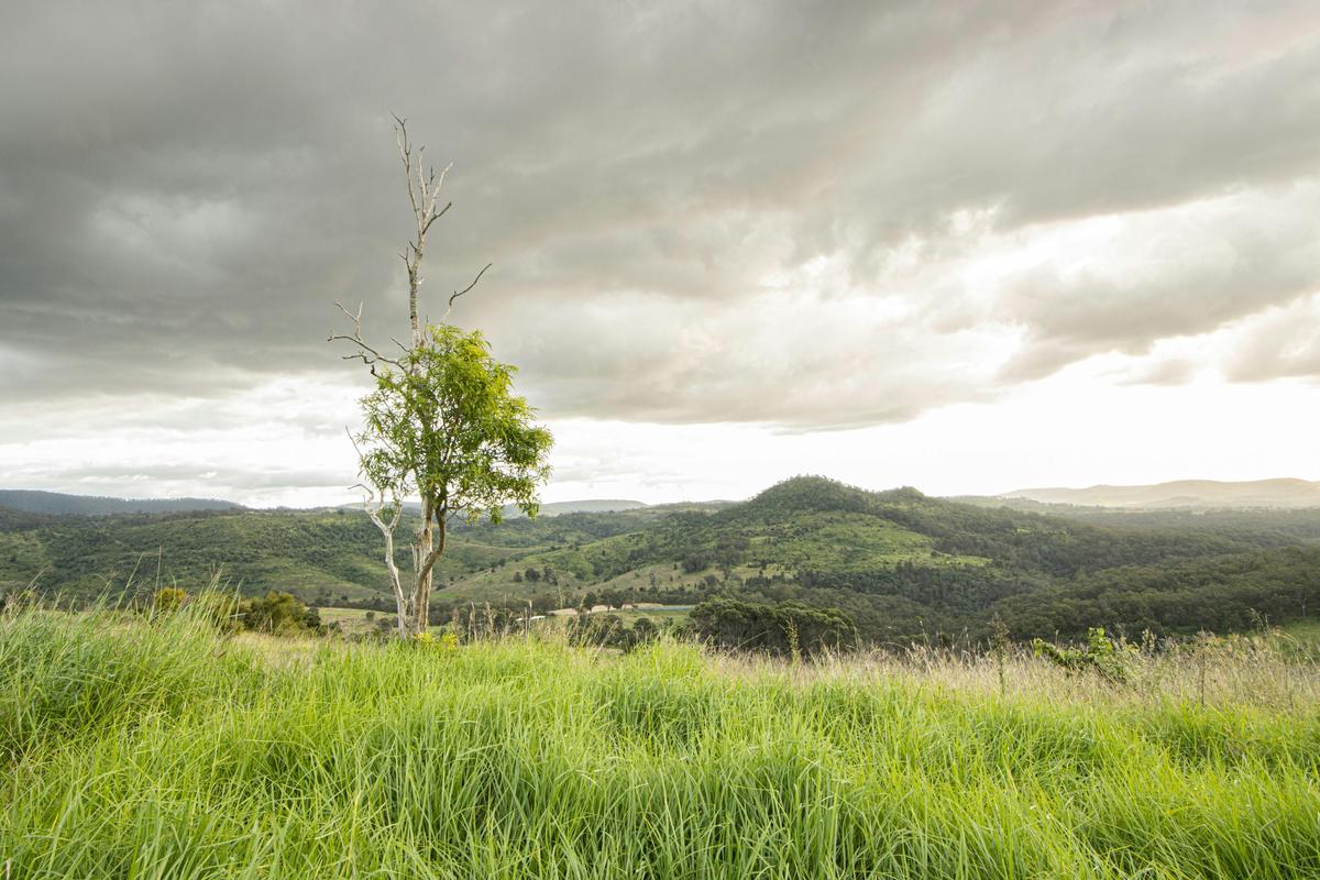 Lush pastures and views to the Darling Downs.