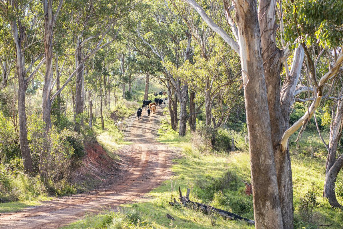 Enjoy a stroll with the locals.
