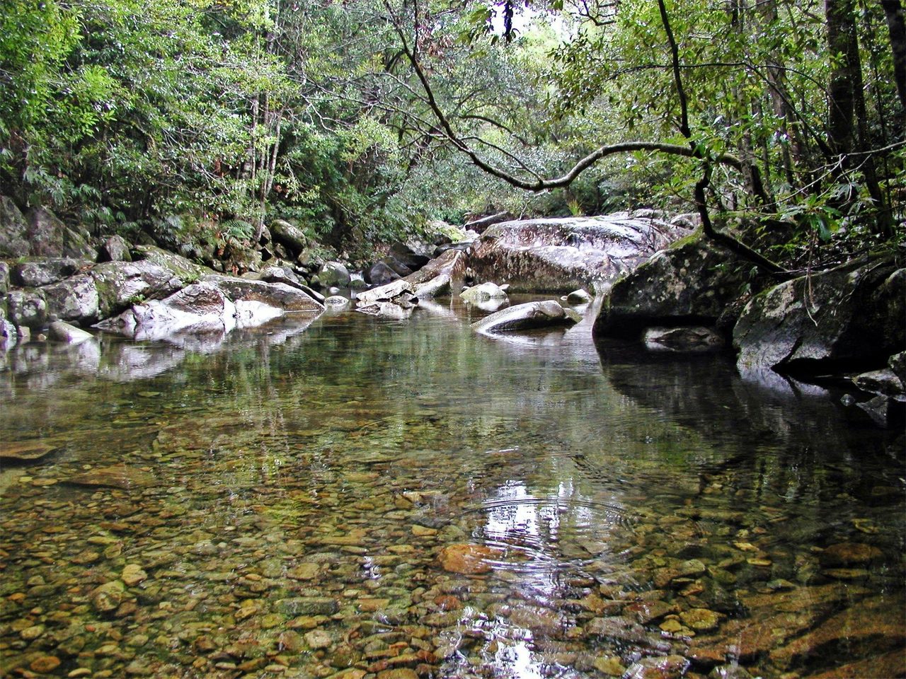 Orara River