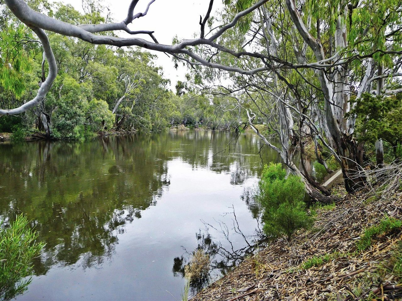 Orara River