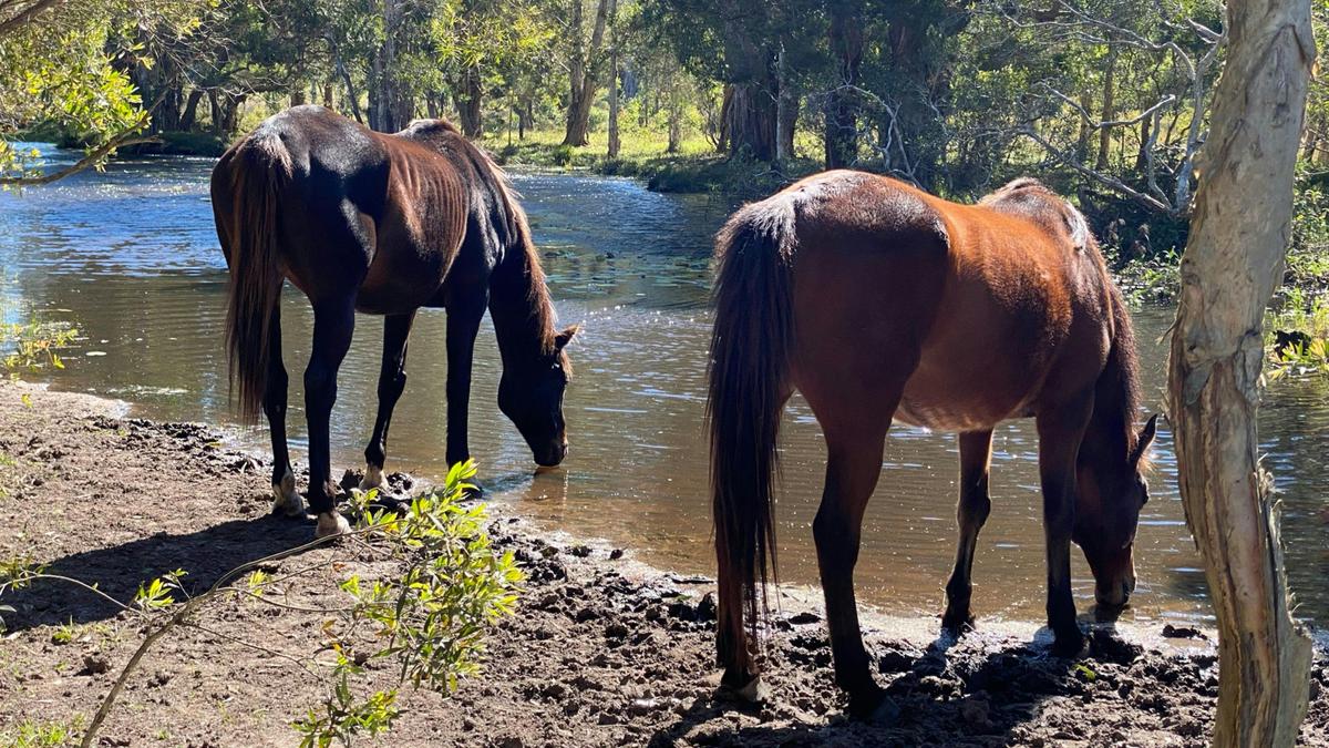 Some friendly locals came to visit and join us for a drink. 
